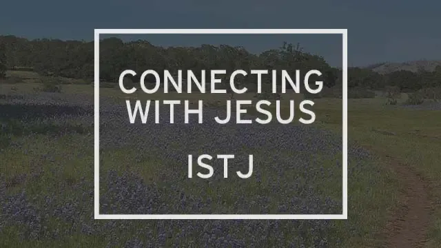 A field with wildflowers and the words “Connecting with Jesus: ISTJ” written over it.