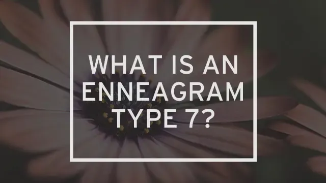 A flower in the background with "What is an Enneagram 7?" written over it.